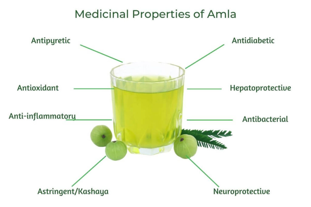 Medicinal Properties of Amla