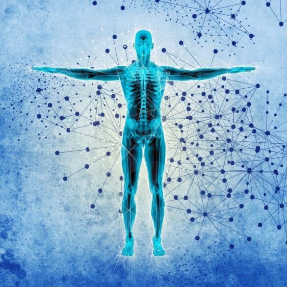 Atomic structure of human body