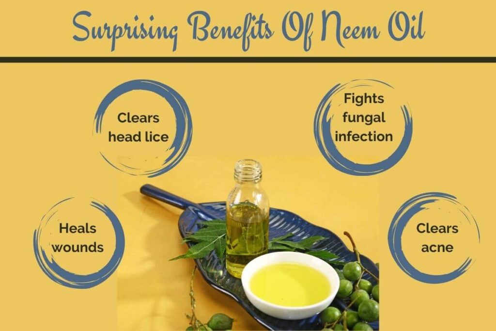 Benefits of neem oil