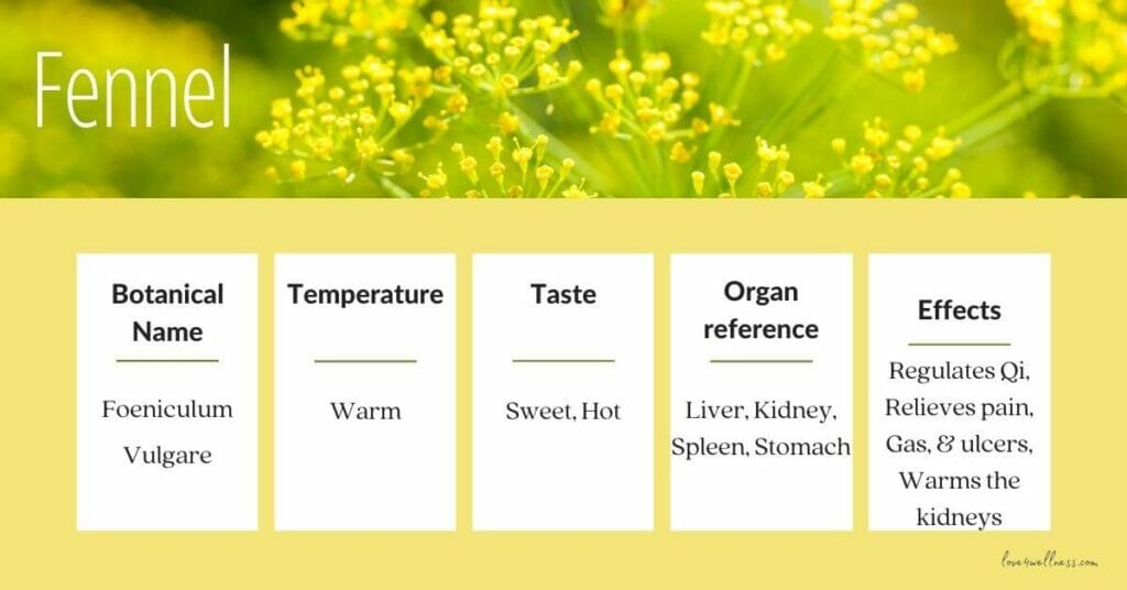 Botanical name, temperature, taste, organ reference, and effects of Fennel in TCM
