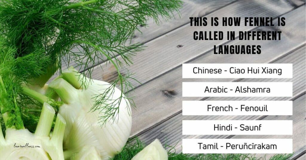 How Fennel is called in other languages