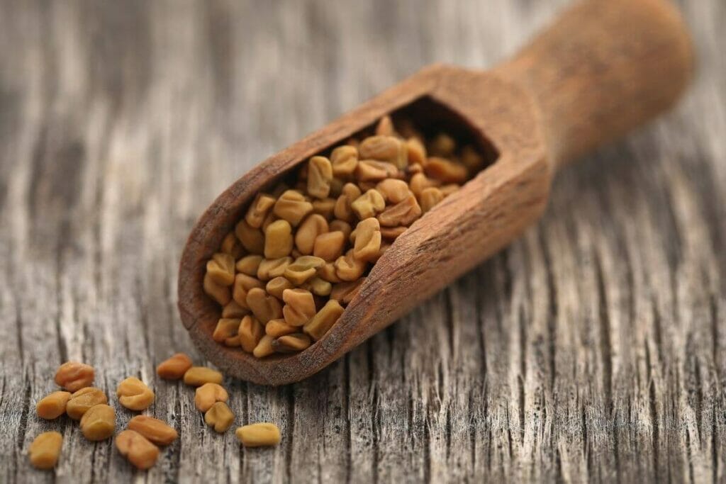 Image of a spoonful of fenugreek or methi seeds