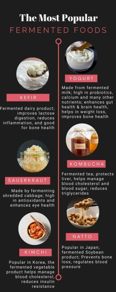 Infographic on popular fermented foods