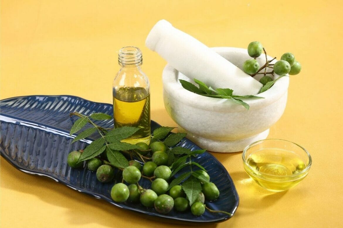 Image containing neem oil & neem seeds