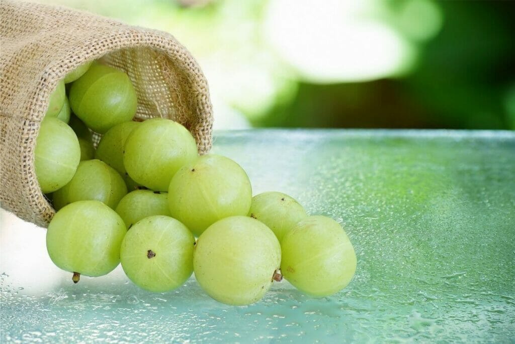 Image of amla fruits falling out of a small sack