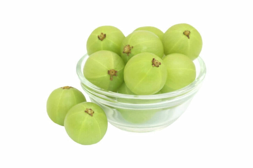 Amla, an ingredient of Ayurveda medicine Triphala