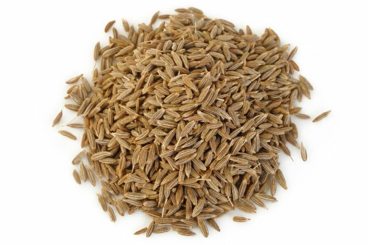 Cumin aka jeera seeds - excellent home remedy for indigestion, weight loss, bad breath, insomnia, uti, gout, cold, prickly heat rashes, kidney stones, etc.