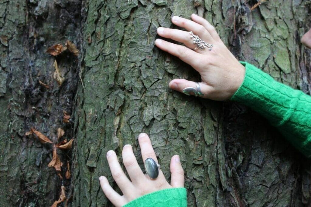 Pair of hands on a tree trunk