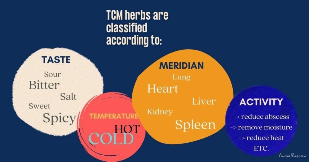 Infographic of how TCM herbs are classified