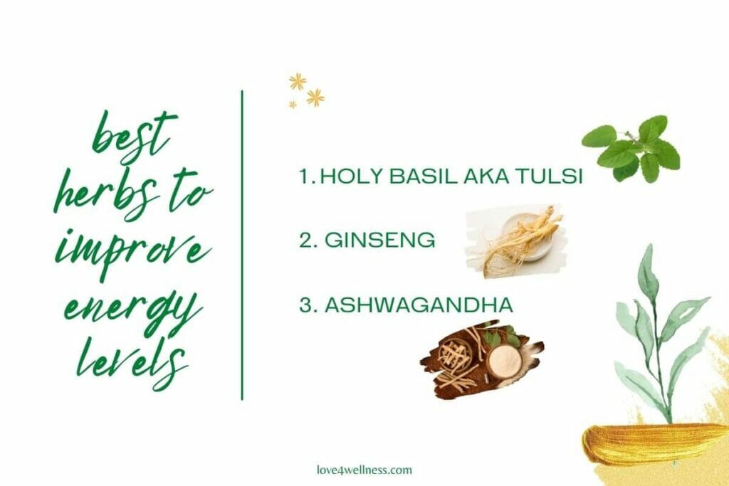 Infographic: 3 herbs to fight fatigue and boost energy levels naturally