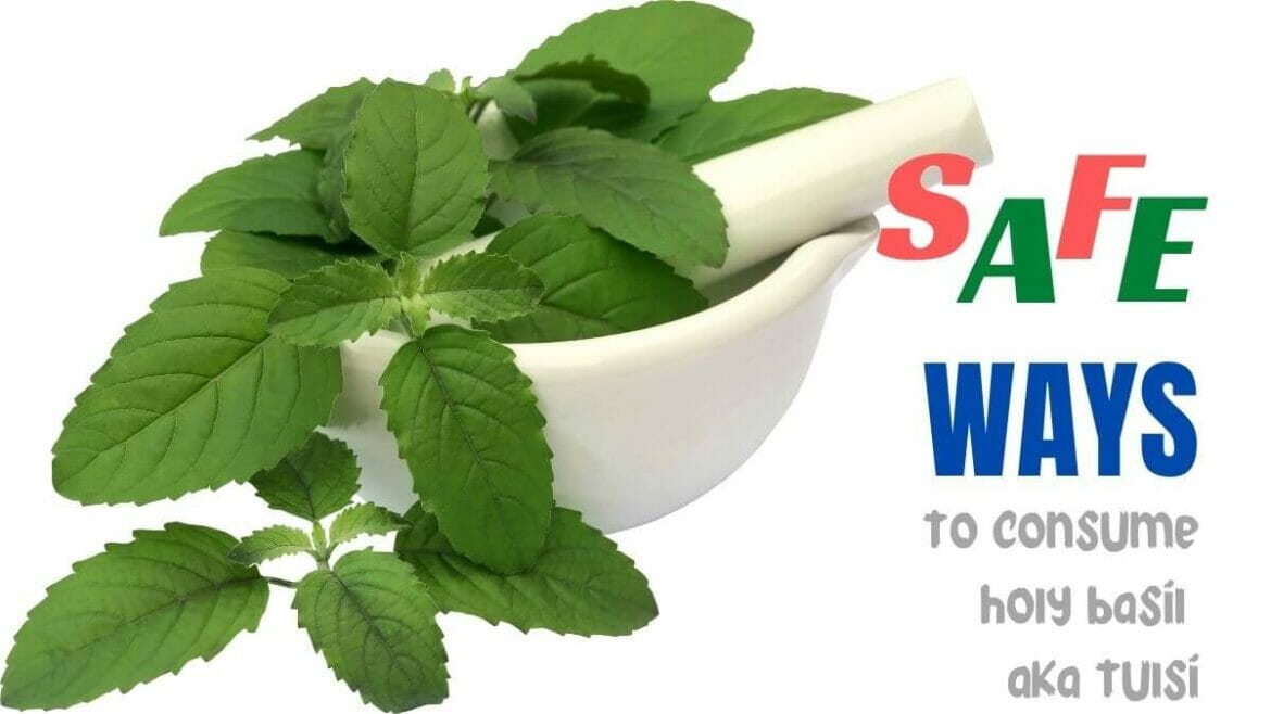Image of tulsi (holy basil) leaves with text safe ways to consume tulsi leaves