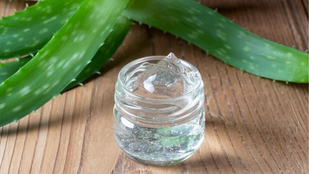 Aloe Vera gel in a bottle