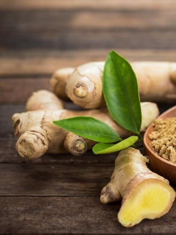 Ginger root with leaves