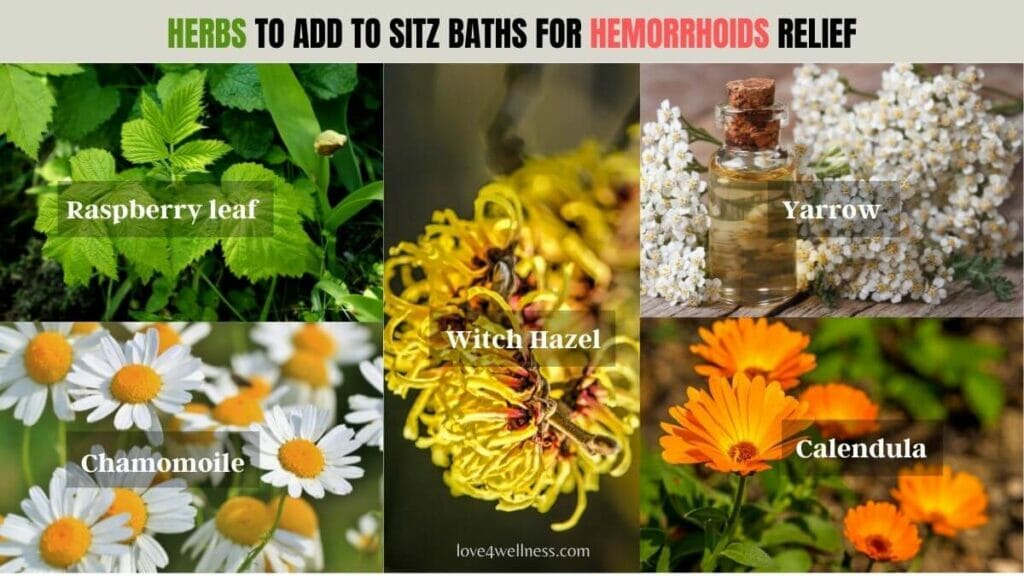 Infographic: Herbs to add in sitz baths for hemorrhoids relief