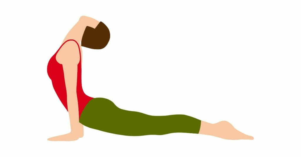 Bhujangasana or the cobra pose