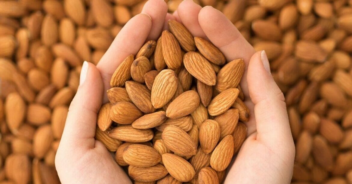 A handful of almonds