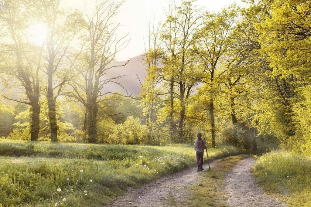 Image of a person walking amidst nature