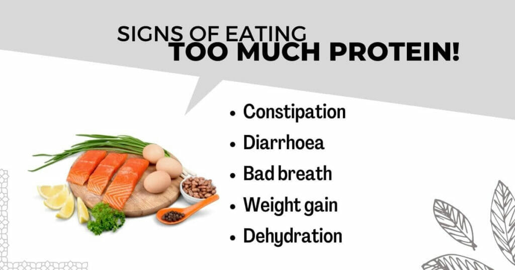 Infographic: Signs of eating too much protein