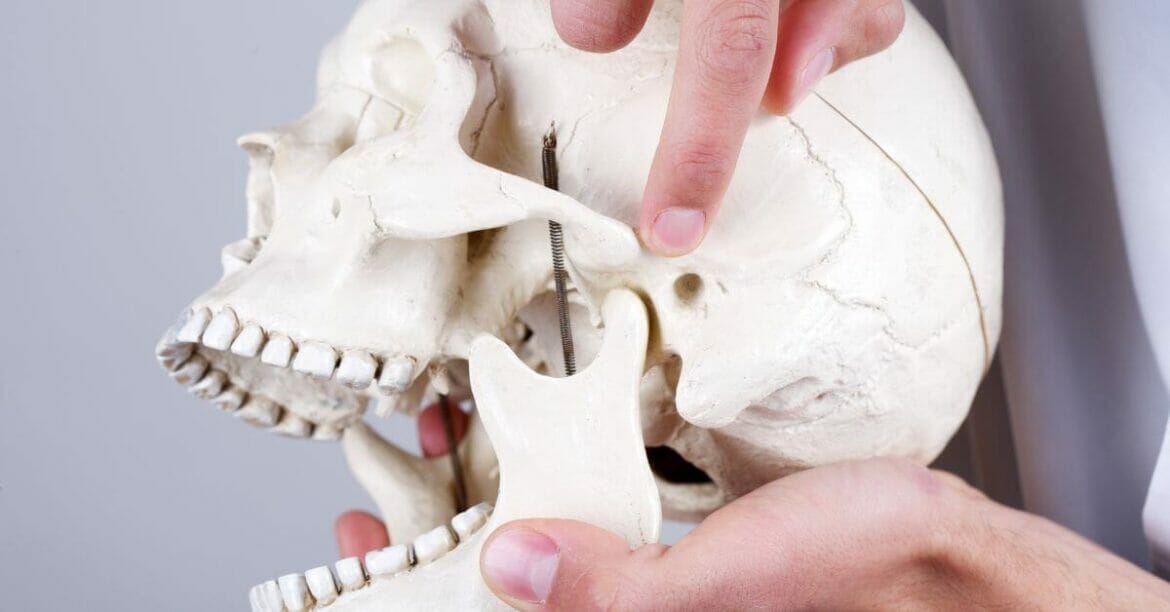Image of a doctor pointing to Temporomandibular joint (TMJ)