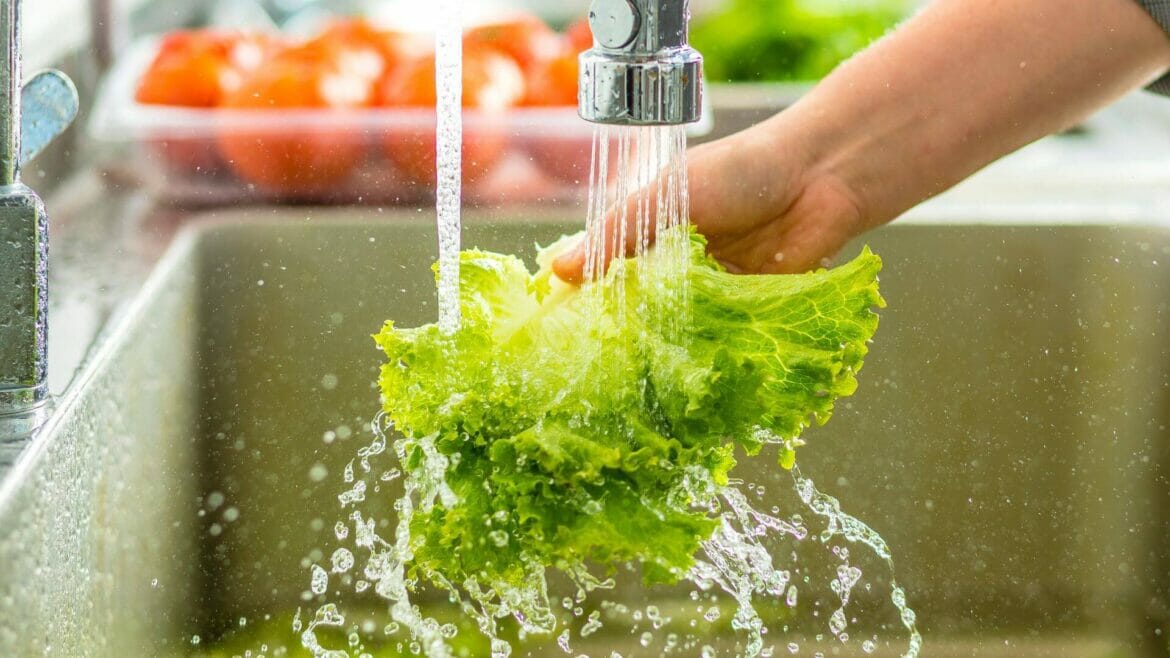 Wash vegetables and fruits under running water