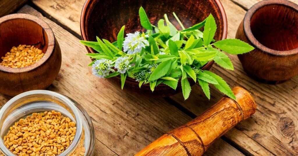 Fenugreek seeds and leaves- siddha herbal remedy to prevent diabetes