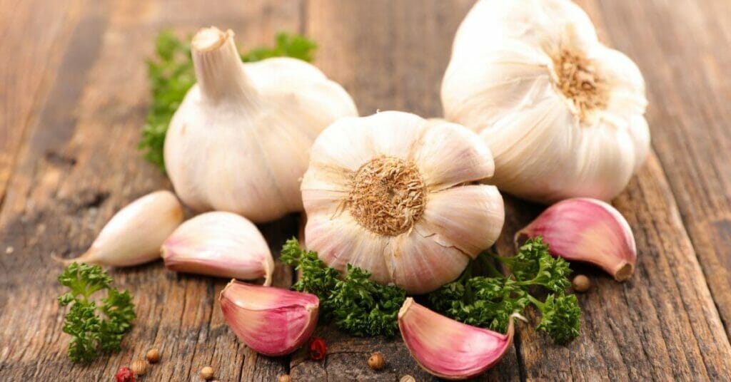 Garlic- a potent siddha herb to prevent diabetes