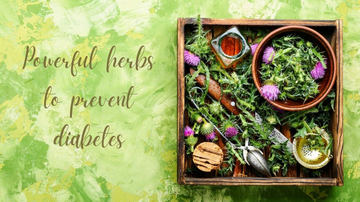 Image of siddha herbal remedies to prevent diabetes