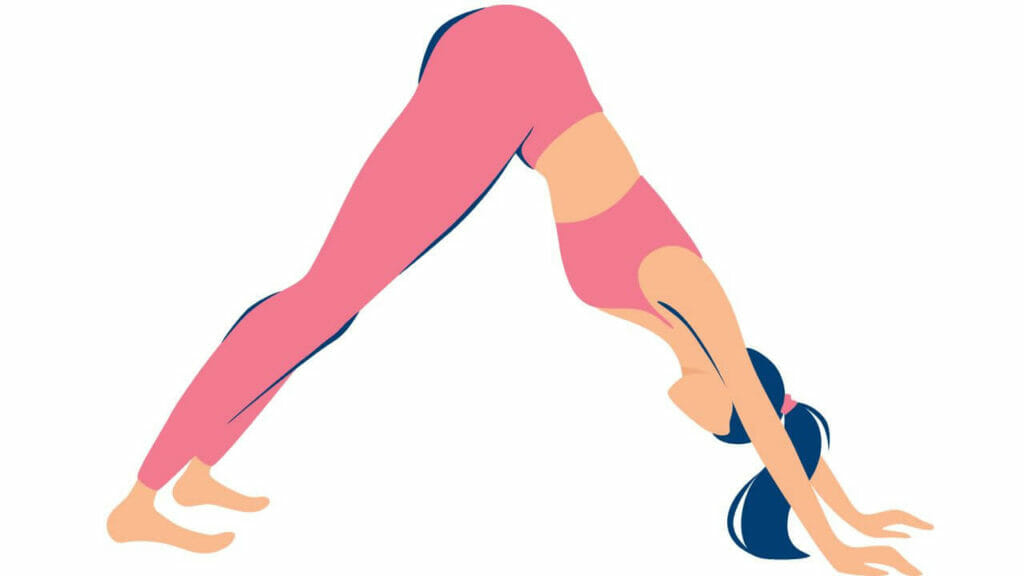 Downward facing dog pose