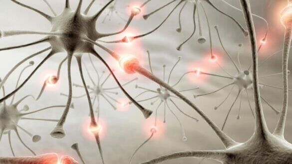 Image of a neural network - dedicated pathways signal brain about an infection
