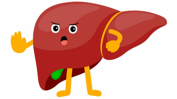 Liver cartoon