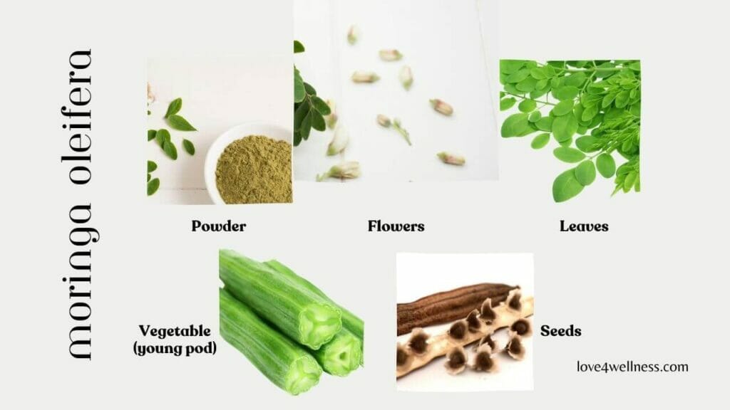 Moringa leaves, pods, flowers, seeds, powder, known for many health benefits