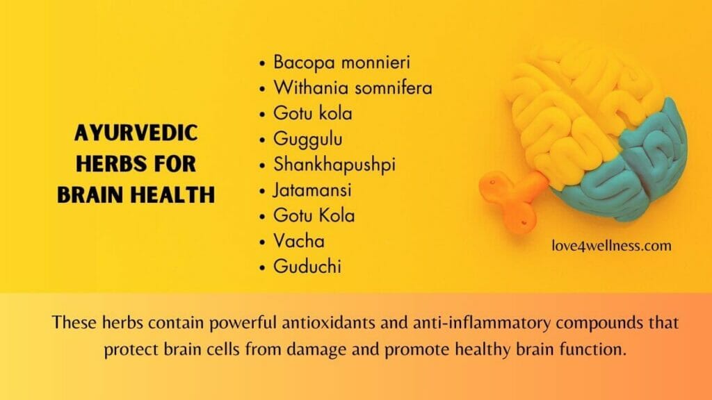 Ayurvedic herbs helpful for improving brain health