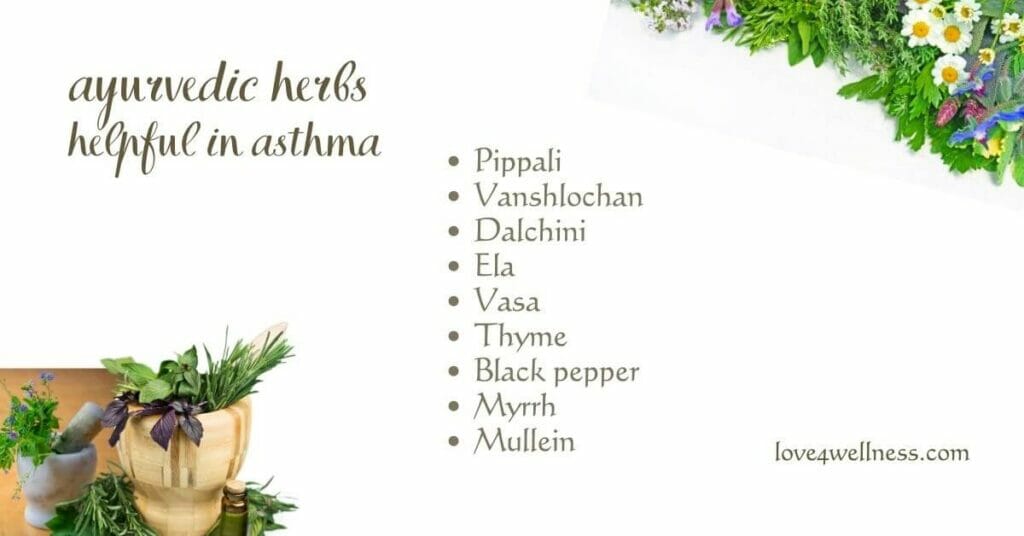 Ayurvedic herbs to reduce Asthmatic symptoms