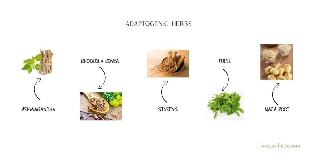 Images of adaptogenic herbs also called adaptogens