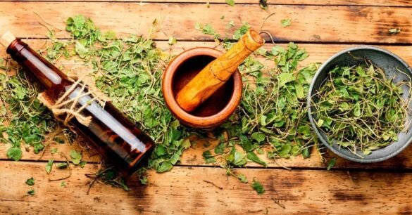 Image of adaptogens (medicinal herbs)