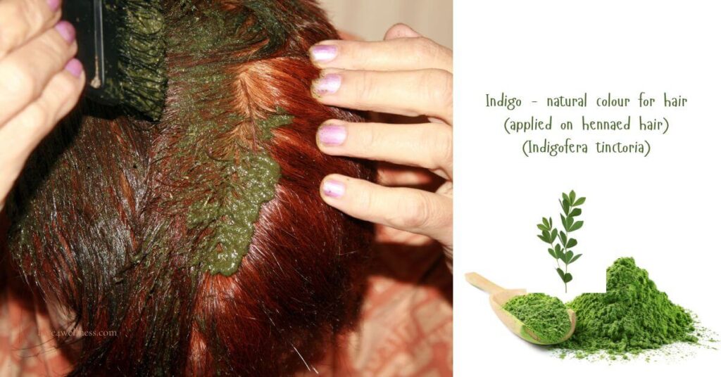 Indigo - Natural, plant-based hair coloy to cover gray