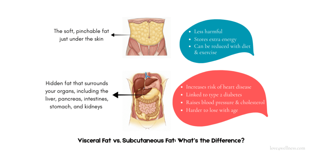 Infographic: Difference between subcutaneous fat and visceral fat which is common in men over 40