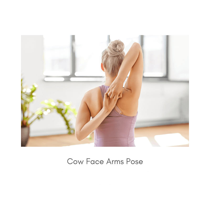 Cow face arms pose