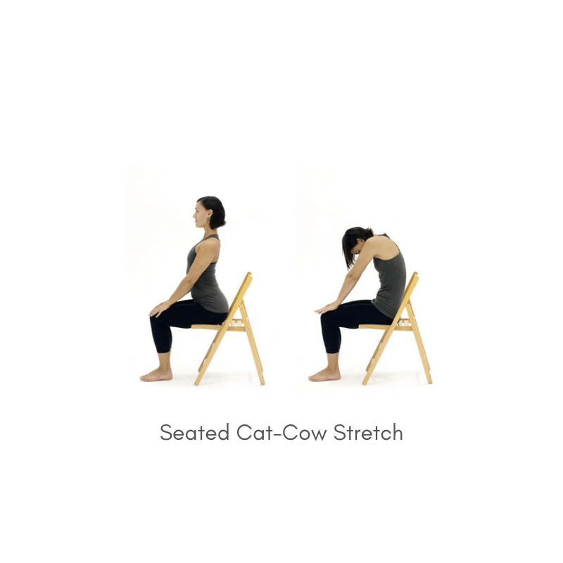 Seated cat-cow pose