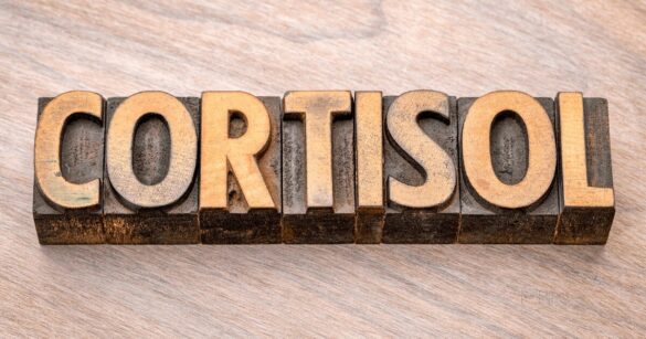 Stress, cortisol, and visceral fat in men - connection