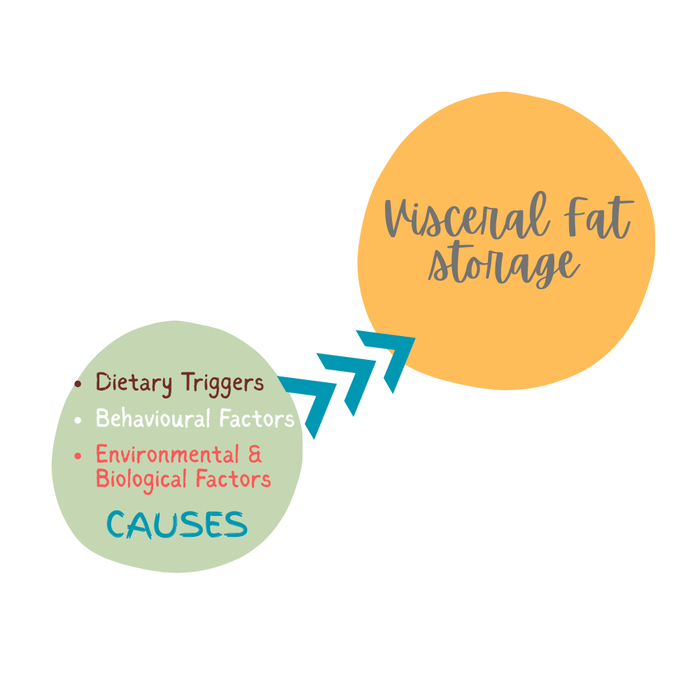 3 root causes for visceral fat accumulation in men over 40